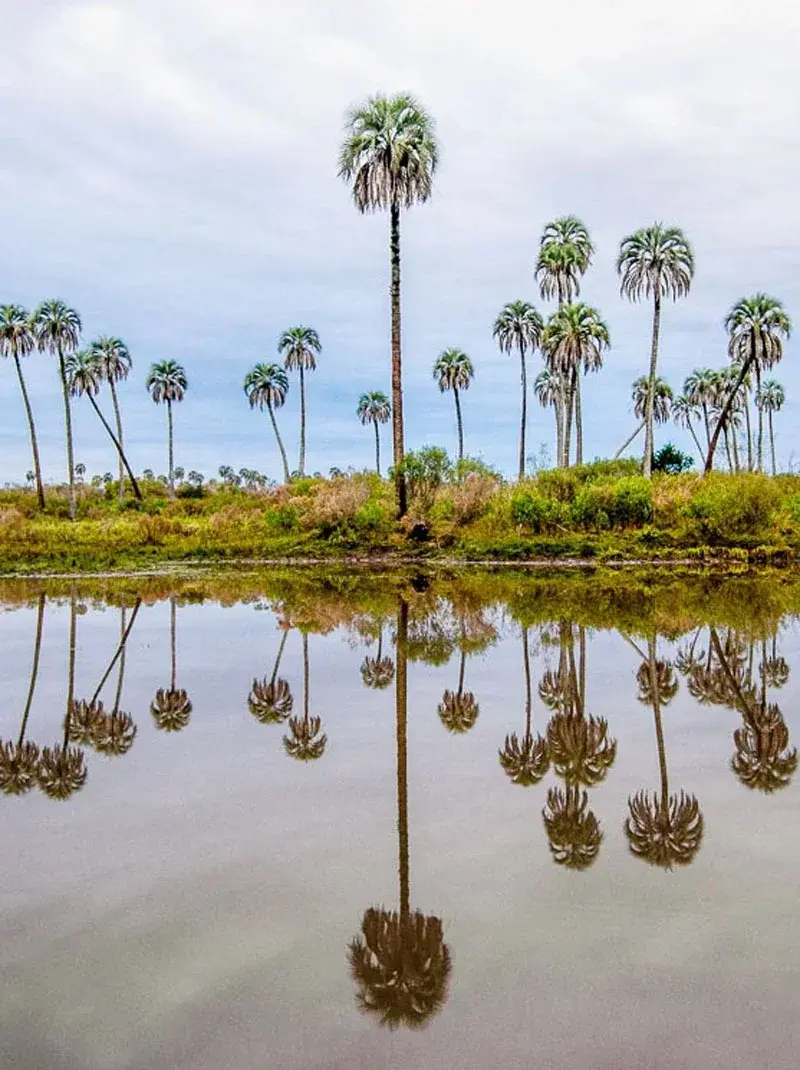 Concordia celebra los 60 años del Parque Nacional El Palmar