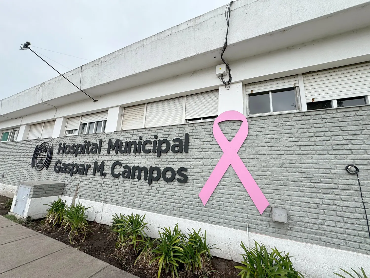 Lazo rosado. En el frente del hospital municipal “Gaspar M Campos”