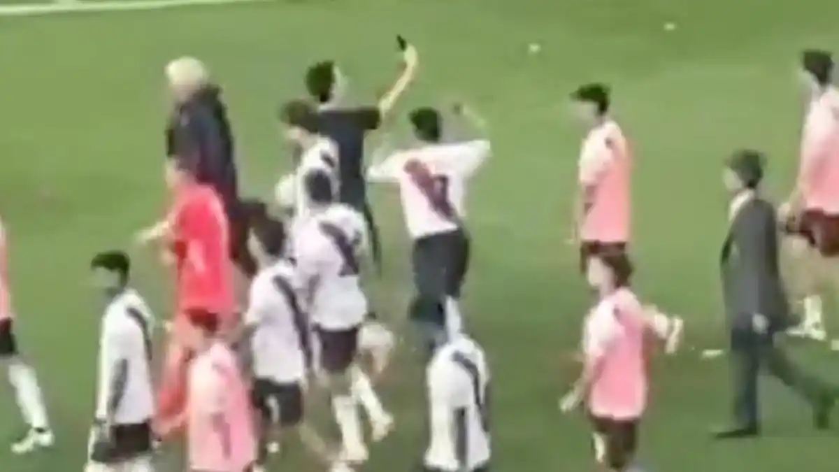 El momento en el que Salas agrede a una persona en La Bombonera.