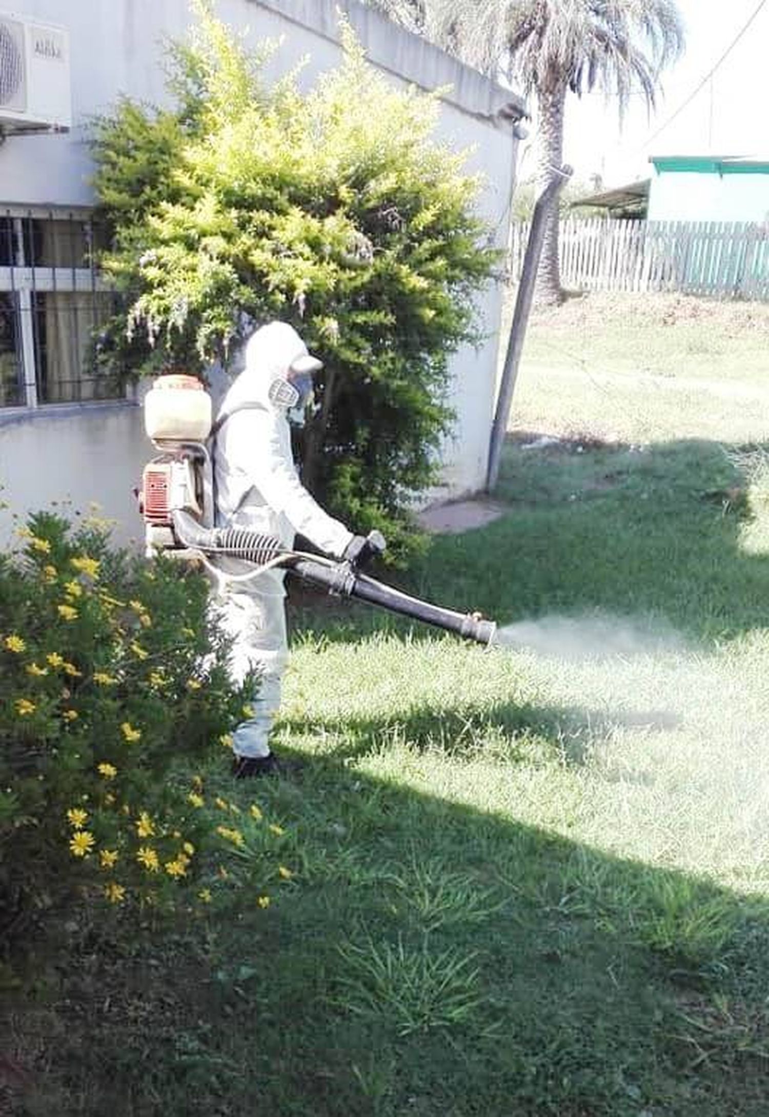 Continúa el programa municipal de fumigaciones y desinfección