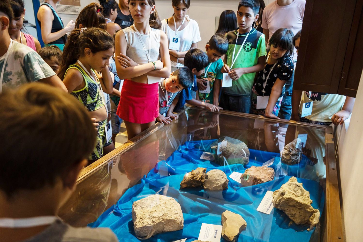 El Museo de Ciencias Naturales y Antropológicas "Profesor Antonio Serrano" es un espacio de disfrute para numerosos niños