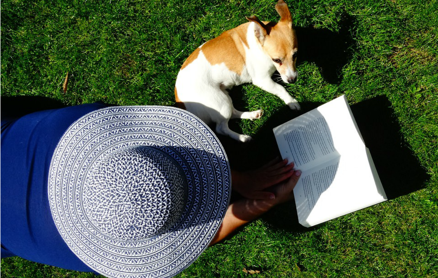 5 buenas lecturas de verano para regalar