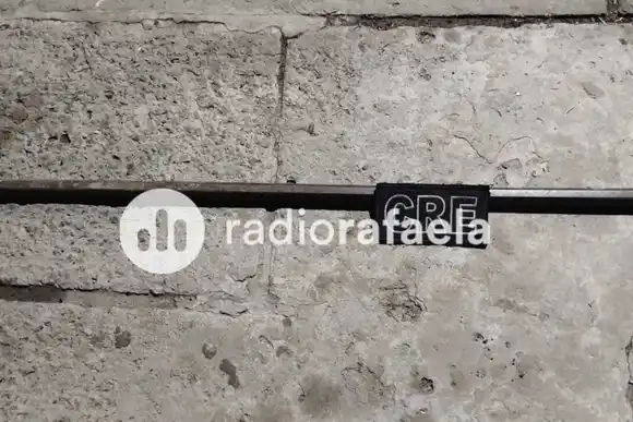 Agarró a palazos a su vecino