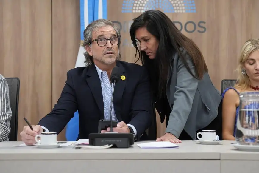 Presupuesto 2026