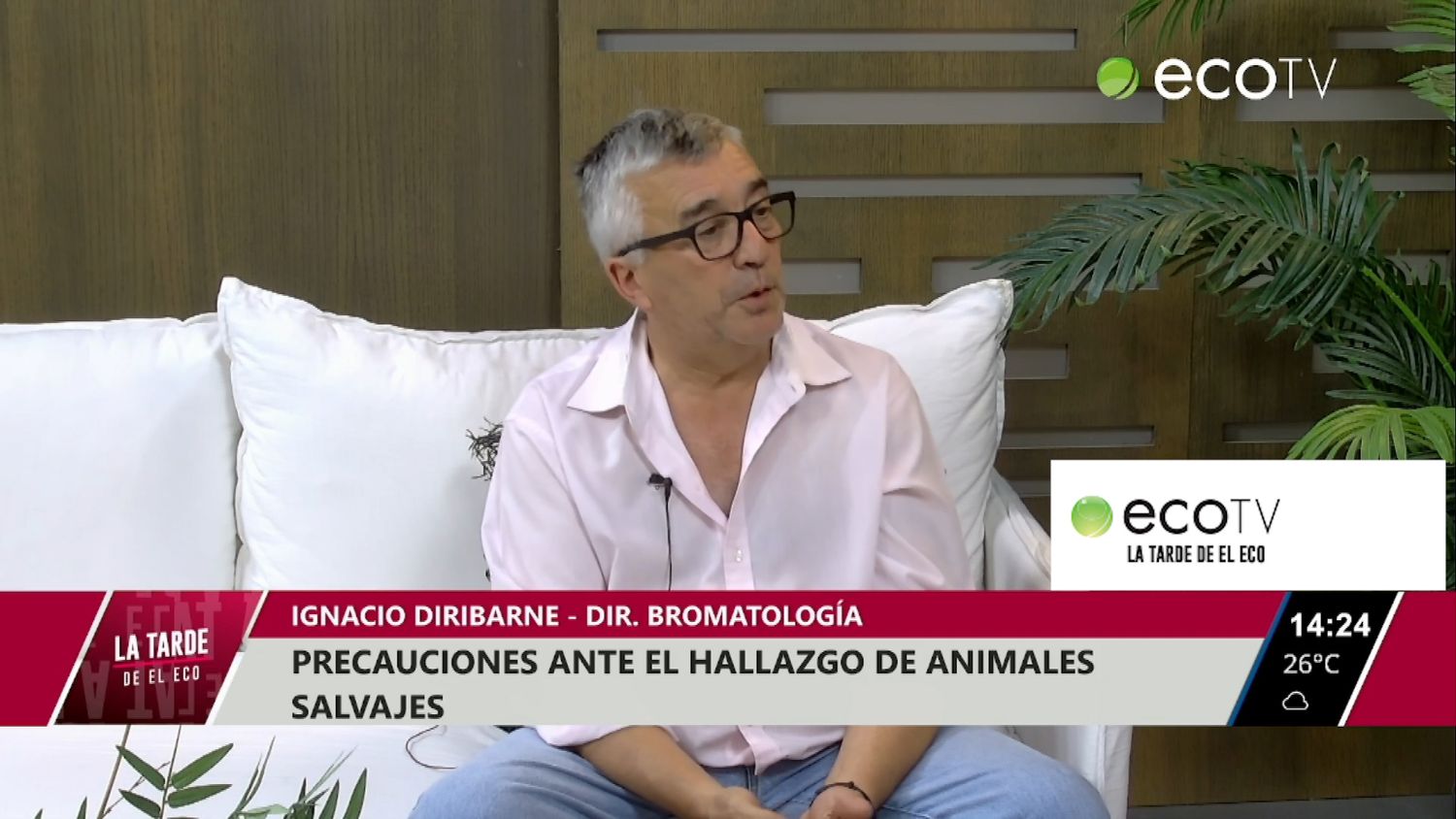 Precauciones ante el hallazgo de animales