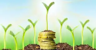 Es tiempo de pensar en una economia sustentable