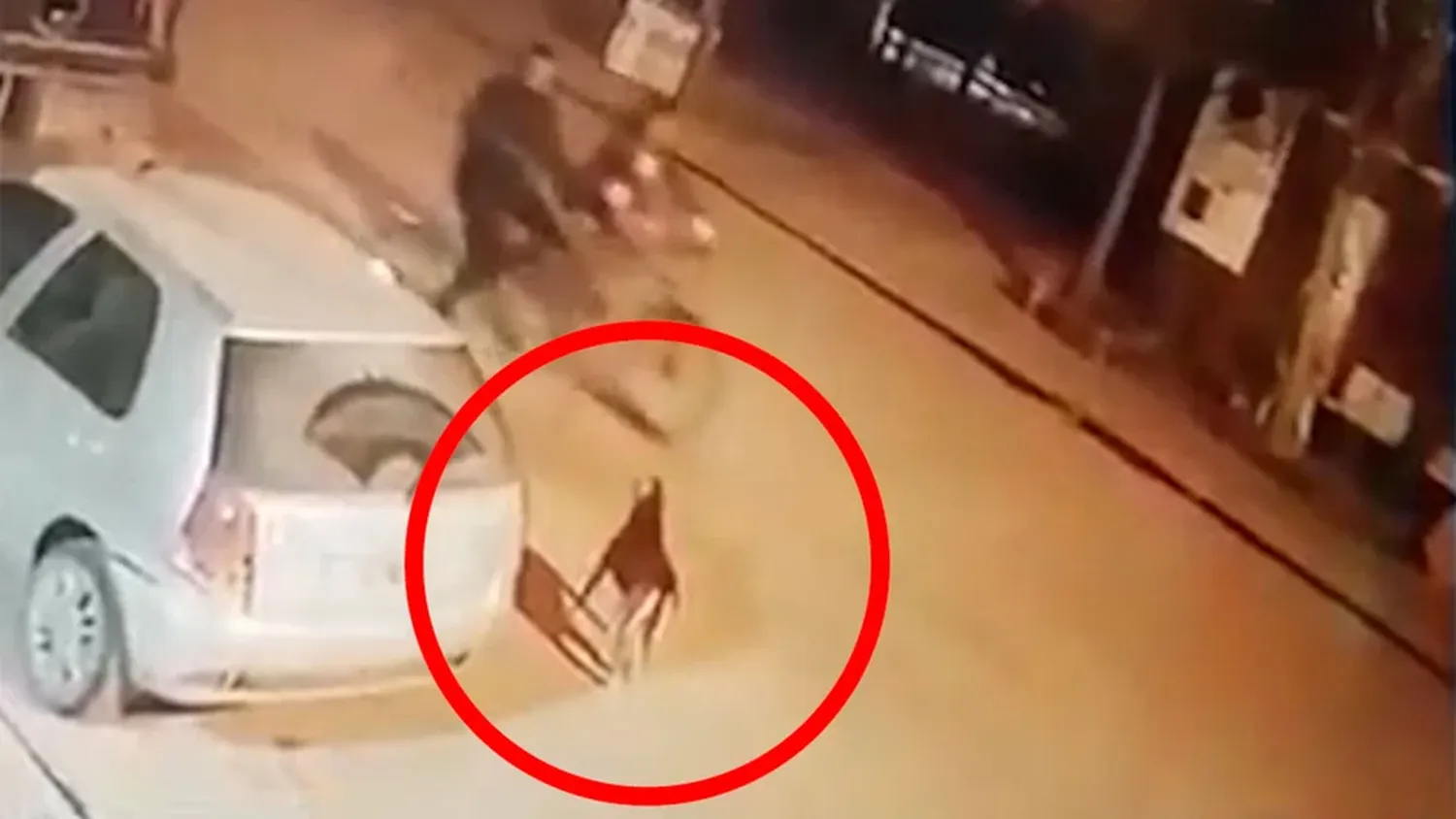 Circulaba en bicicleta por la calle, un perro le ladró, sacó un arma y lo mató de un tiro