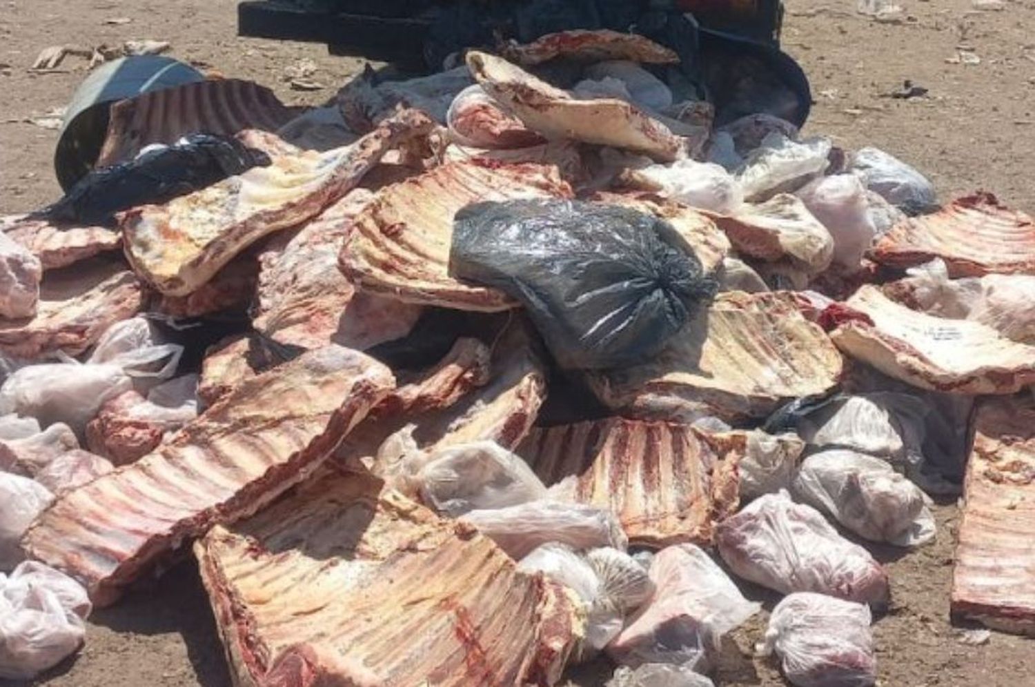 Llevaron la carne secuestrada al relleno sanitario