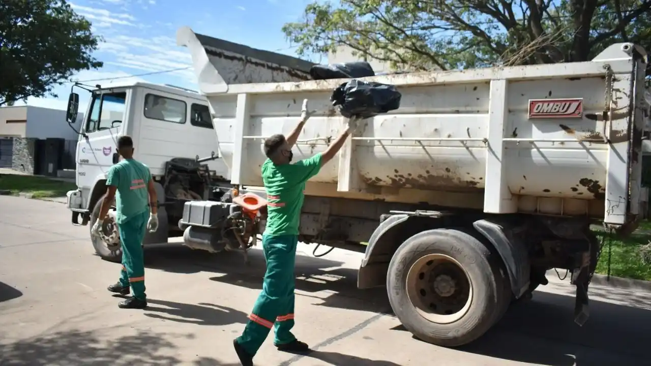 Este domingo se realizará la recolección de residuos de patio: ¿a qué sector le toca esta vez?