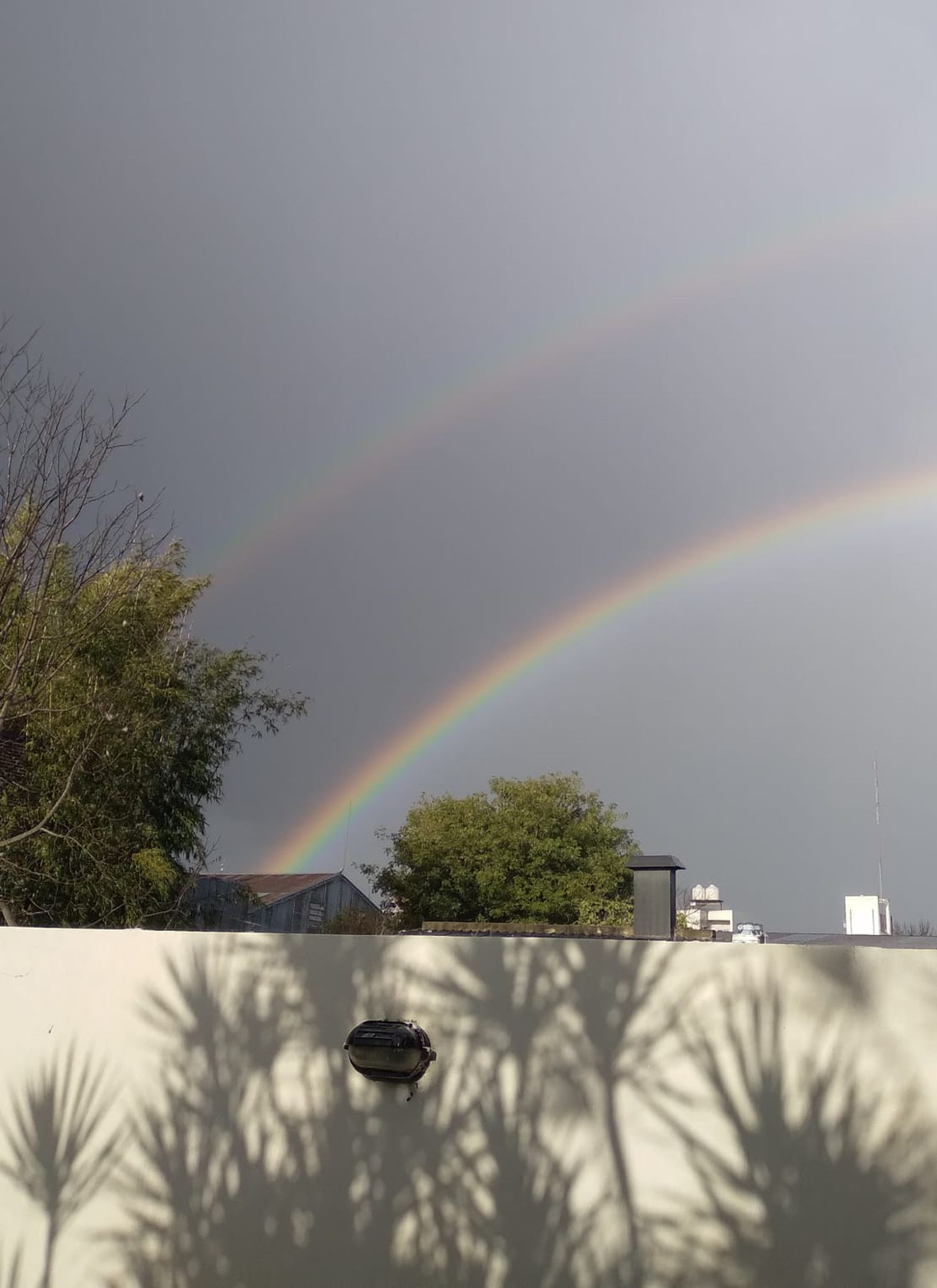 Tras un dia soleado, la llovizna creó un hermoso efecto visual.