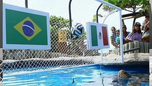 Mundial 2014: Brasil y México abren la segunda ronda de la fase de grupos