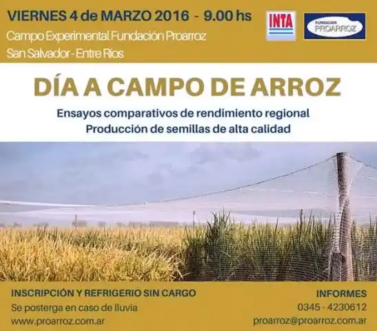 “Día a Campo Proarroz” en San Salvador
