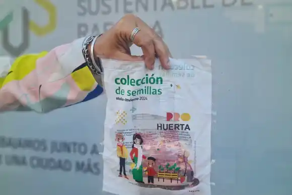 Semillas para la huerta en casa