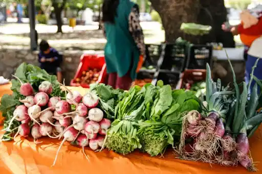 Llega una nueva edición de la Feria Verde con productos agroecológicos