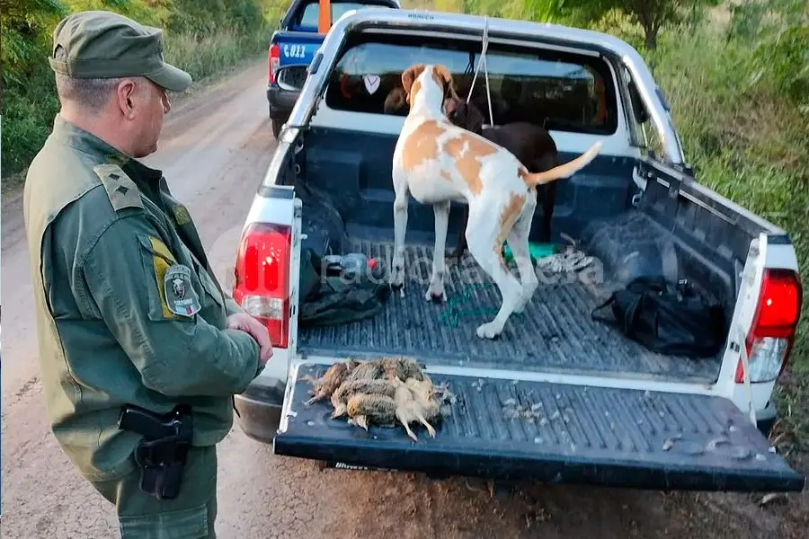 Detuvieron a “cazadores ilegales” de liebres y perdices en la zona