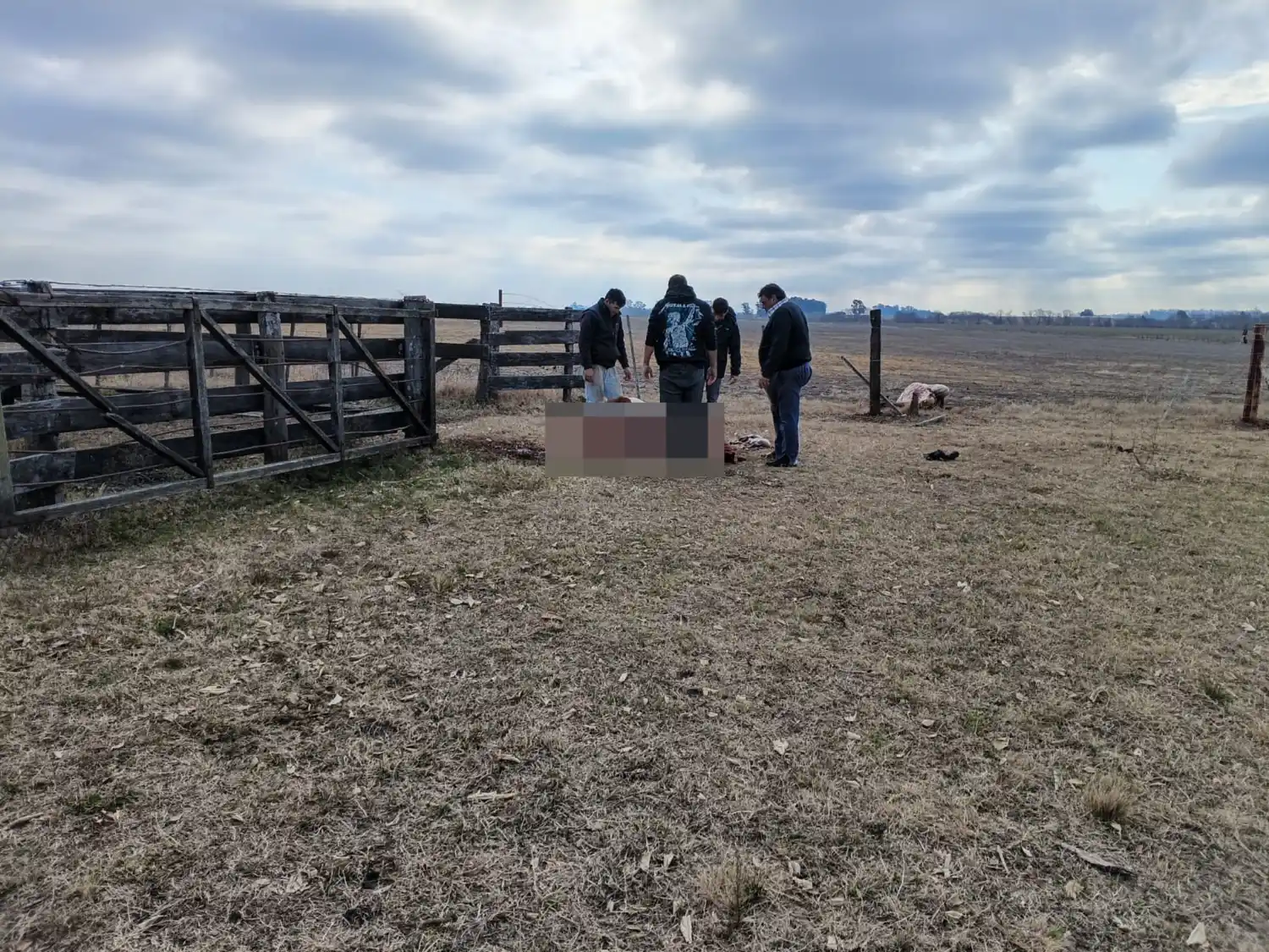 abigeato en campo de germán lópez