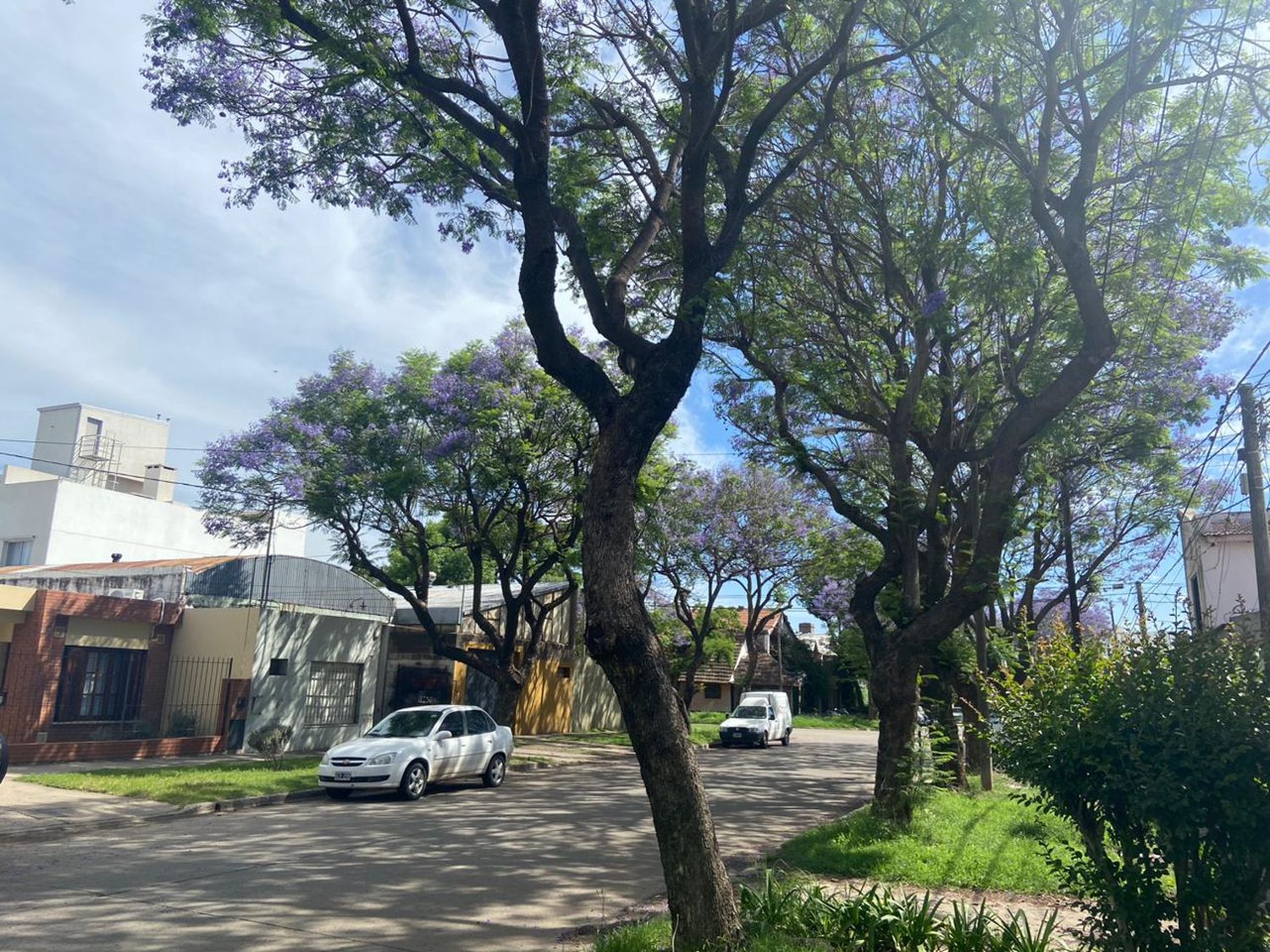 Venado amaneció con el cielo cubierto y temperaturas elevadas.