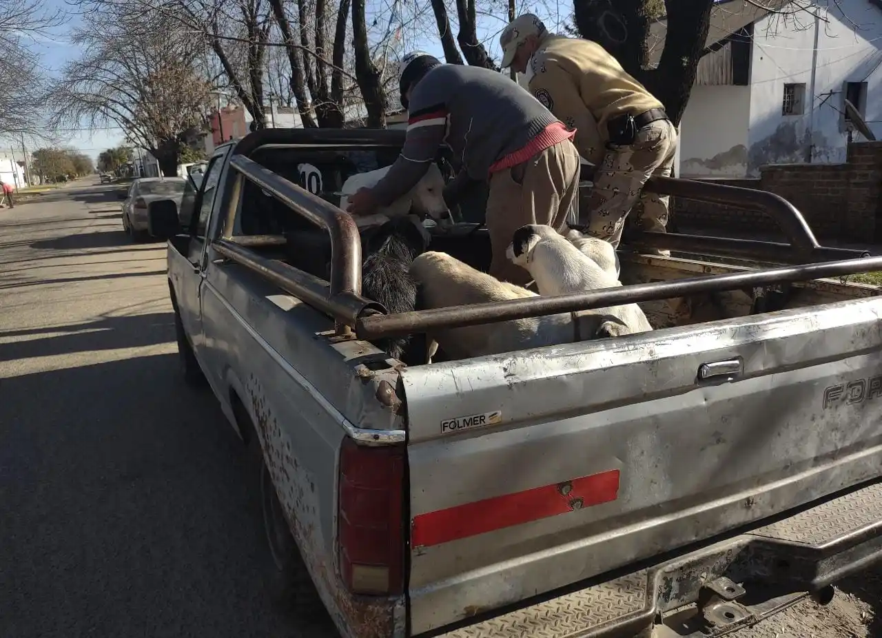 La policía y la brigada Gualeguaychú secuestraron armas de grueso calibre a cazadores furtivos