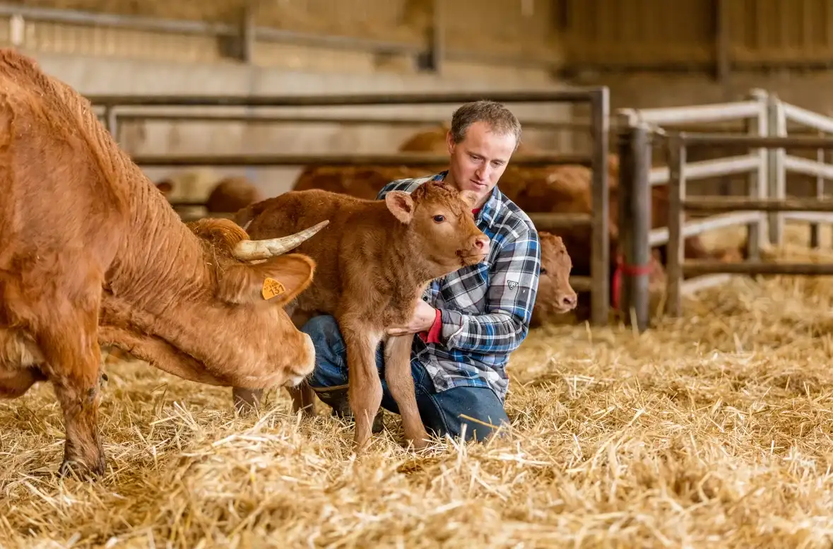 Una Salud: por qué cuidar a los animales también protege a las personas