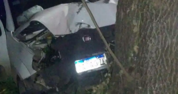 Accidente en “la curva de la muerte”: Despistó una camioneta y chocó contra un árbol