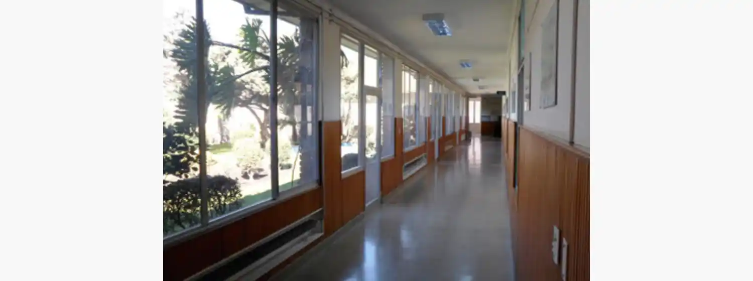 Afirman que la muerte por Gripe A de la menor es un caso "atípico"