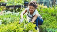 “La mente bien ajardinada”: el poder terapéutico de la jardinería para la salud mental