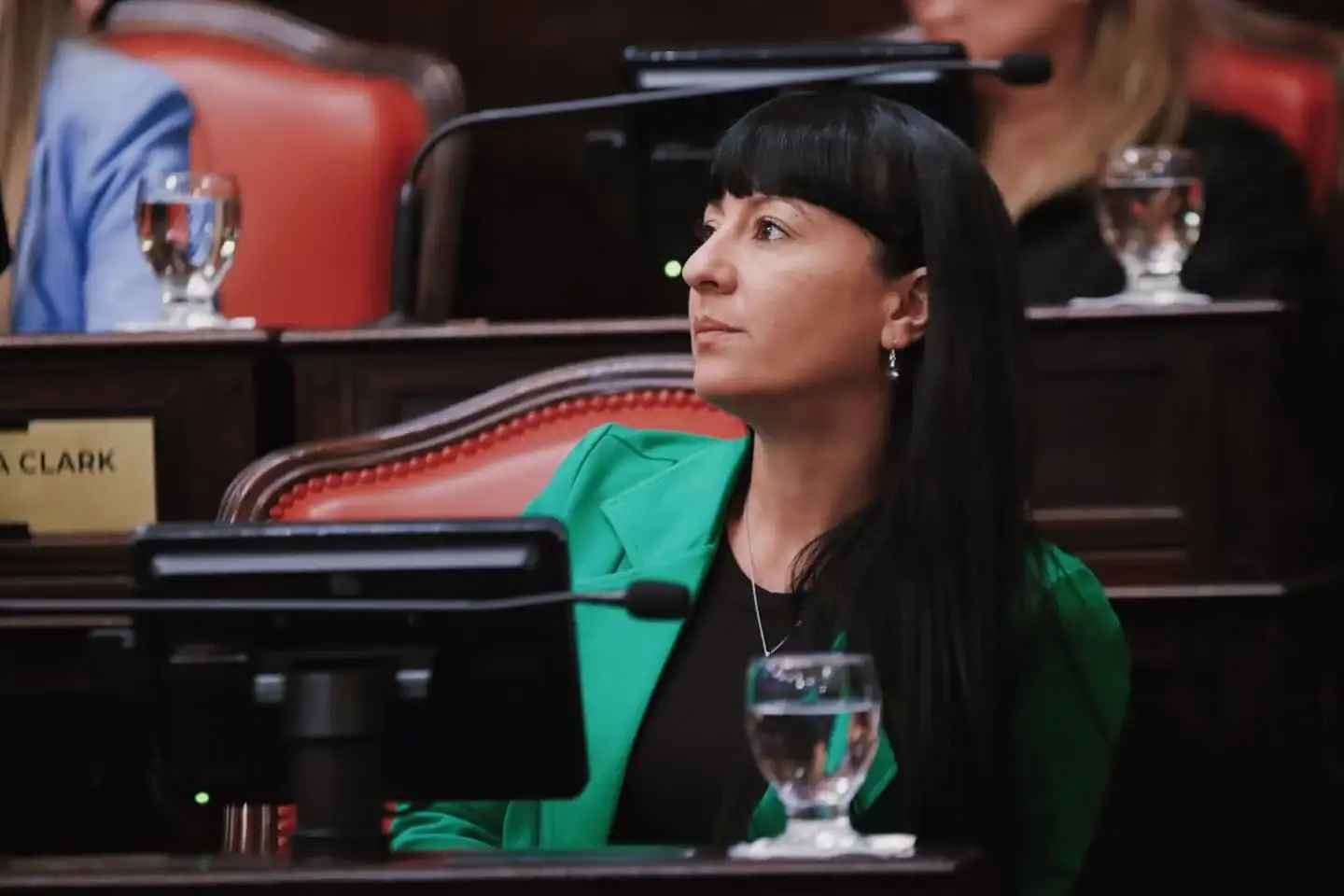 senadora Bastida