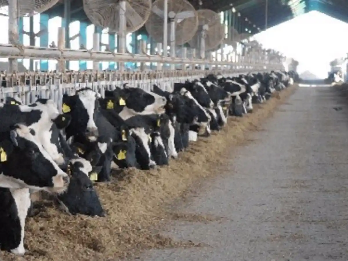 Unidad rural frente a la crisis