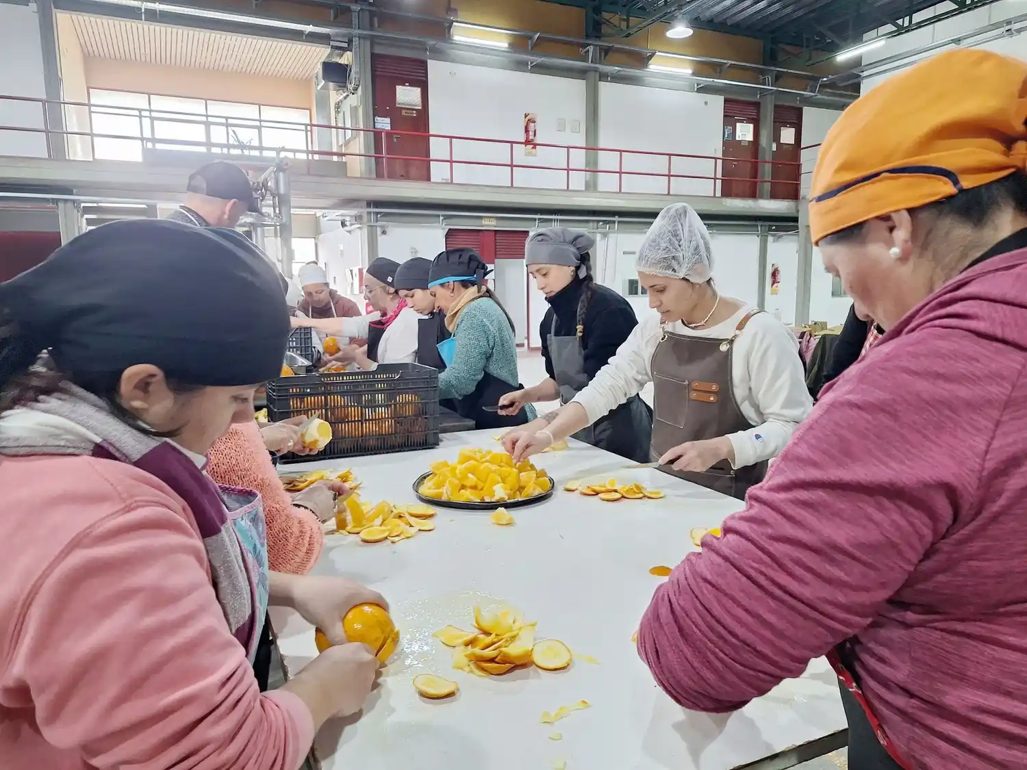 Alumnos de Educación de Jóvenes y Adultos vivieron una experiencia industrial en la planta piloto de la UNER