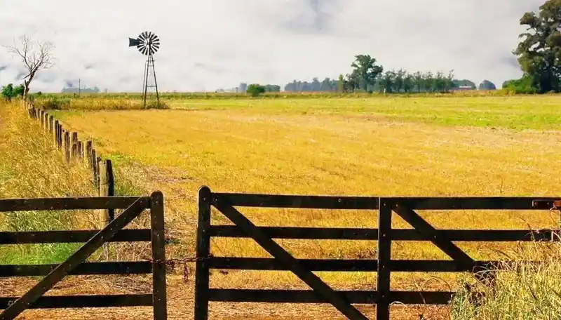El mercado de compra y alquiler de campos recupera dinamismo