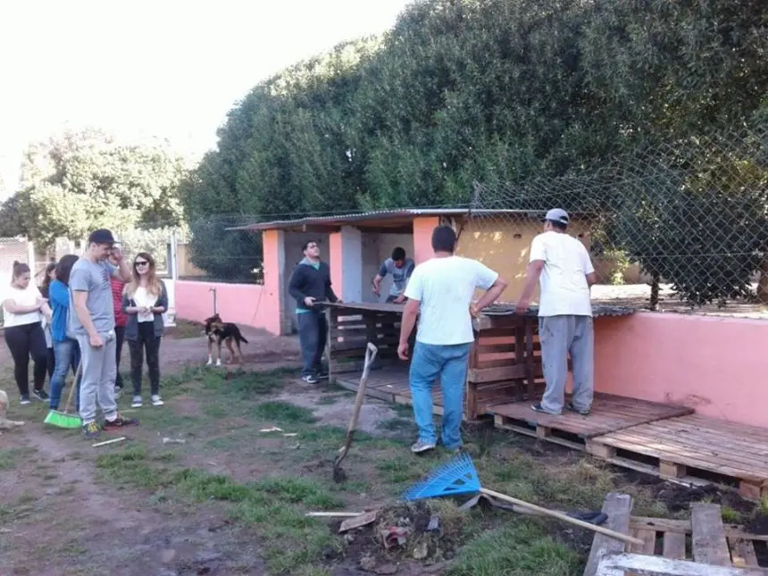 Una lucha contra molinos  de viento