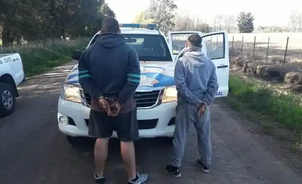 Detenidos, tras un robo en un campo cercano a Pieres