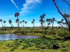 Desde noviembre la entrada al Parque El Palmar costará $7 mil para los argentinos