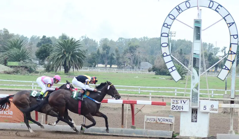 Jueves 9: Actividad Hipódromo de La Plata