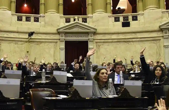 Diputados avanzó con el nombramiento de Graham como defensora del Niño