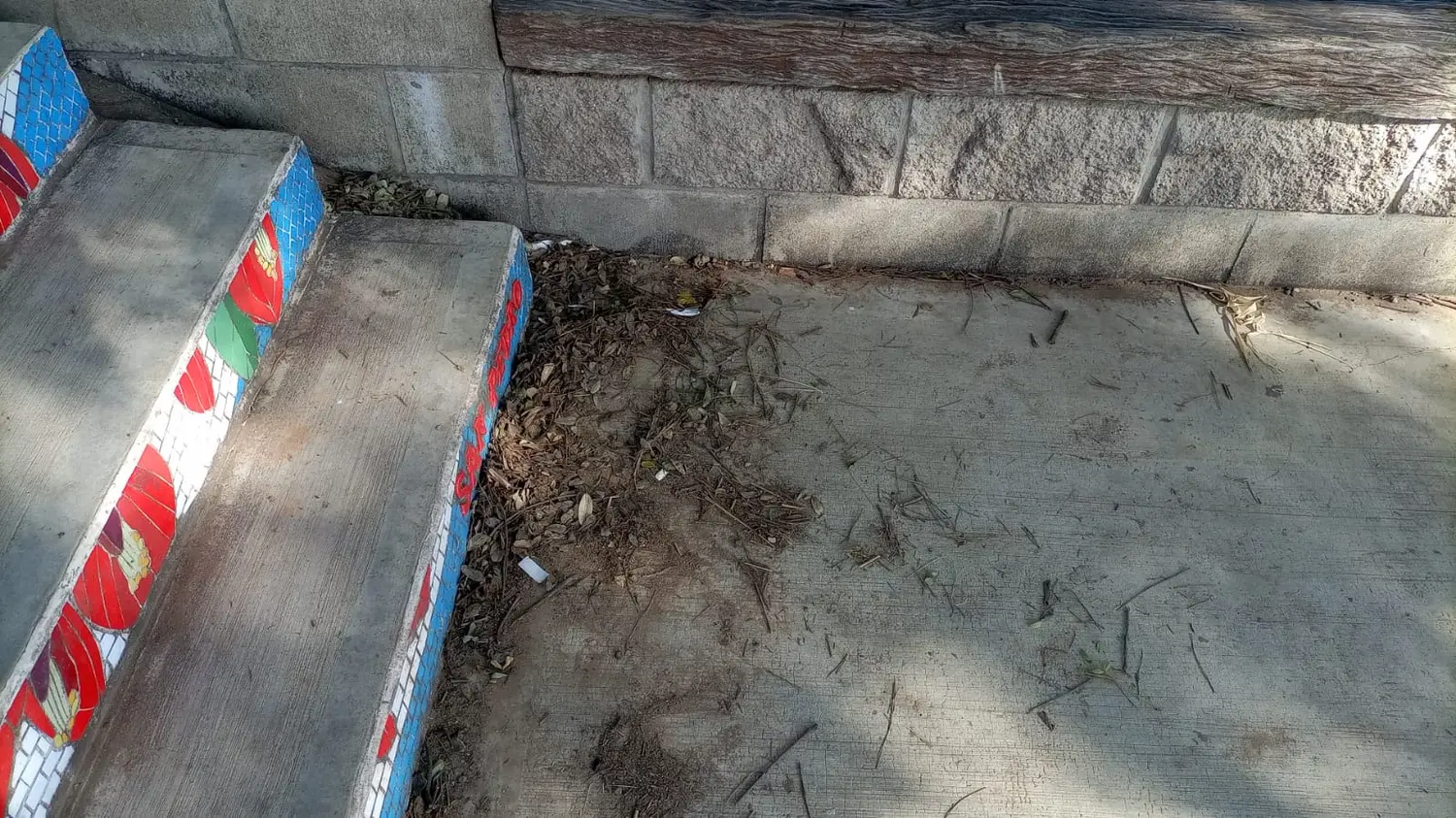 Estela pasó por el lugar y tomó esta imagen de la escalera de las flores.
