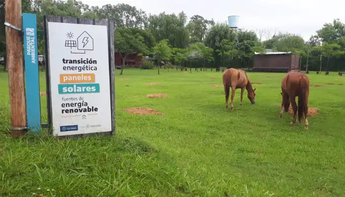 Caballos en el Paseo Público, qué opina la gente