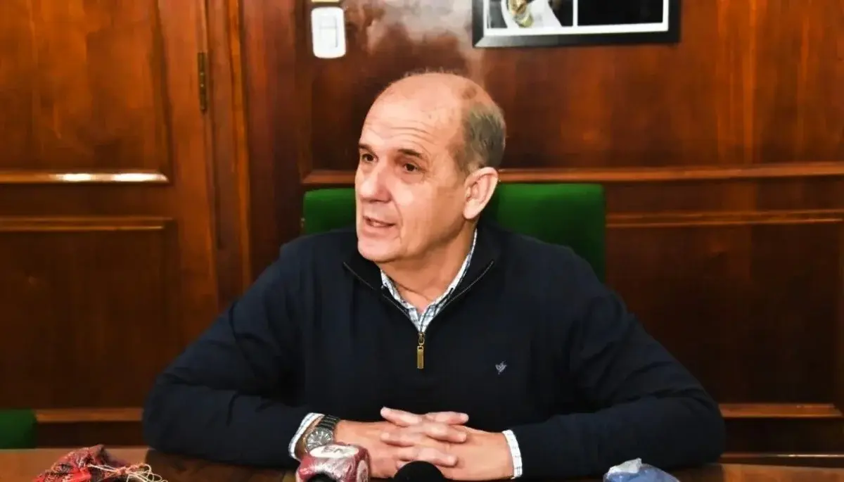 Zurro le advirtió a los senadores nacionales.