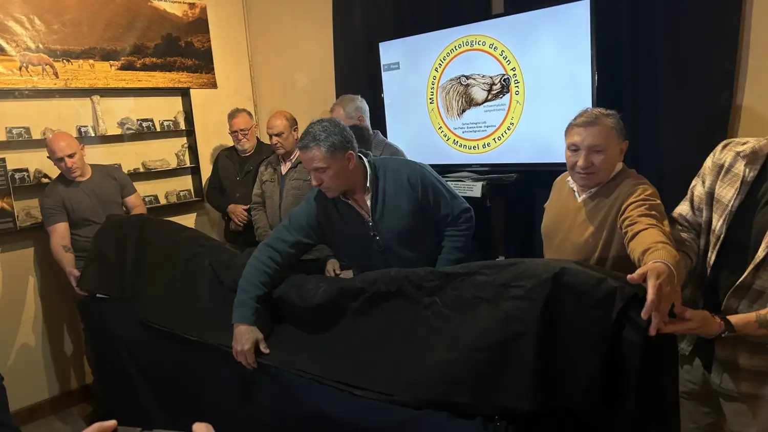 El Museo Paleontológico presentó la defensa de mastodonte "más grande de Sudamérica" - 2