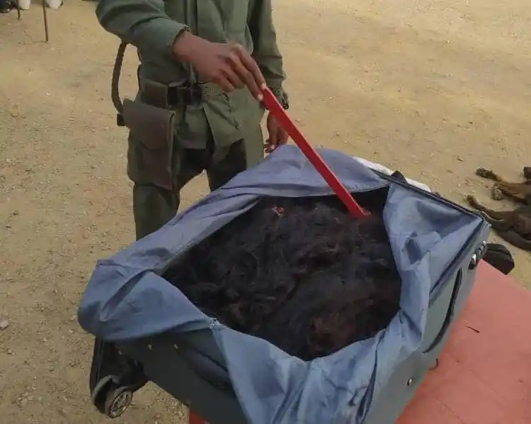 Traficantes-de-cabello-