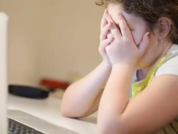 El Senado abre el debate para frenar la violencia digital contra las mujeres en Entre Ríos