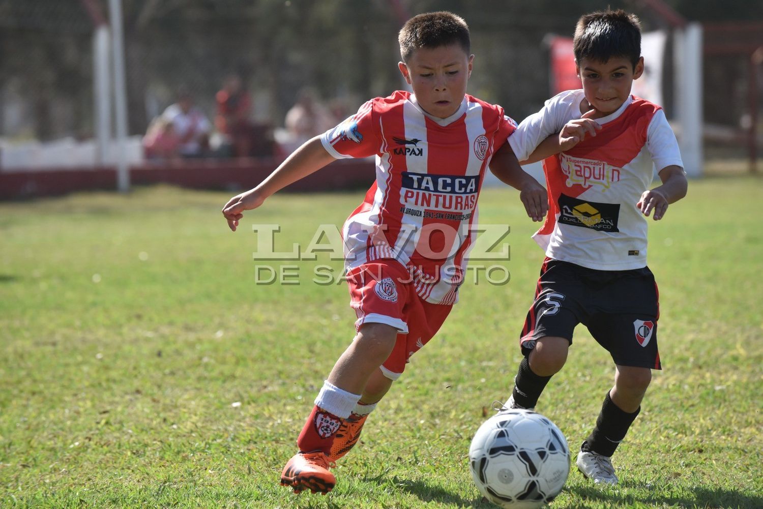 Se pone en marcha la nueva temporada del baby fútbol