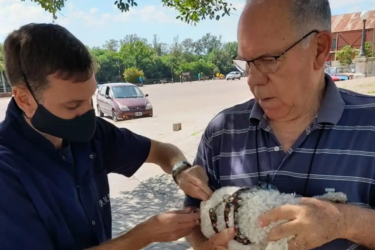 Más de 40 mascotas fueron vacunadas a través de la campaña municipal
