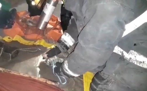 Un tierno rescate en Buenos Aires.
