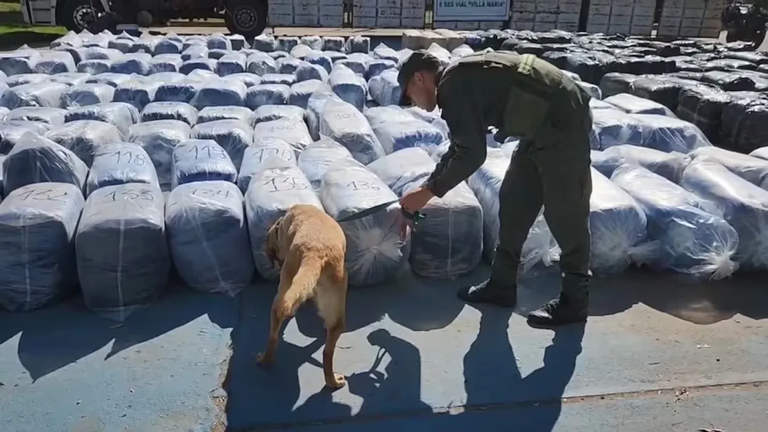 Encontraron 7 mil kilos de coca en un camión. (Foto: Gendarmería)