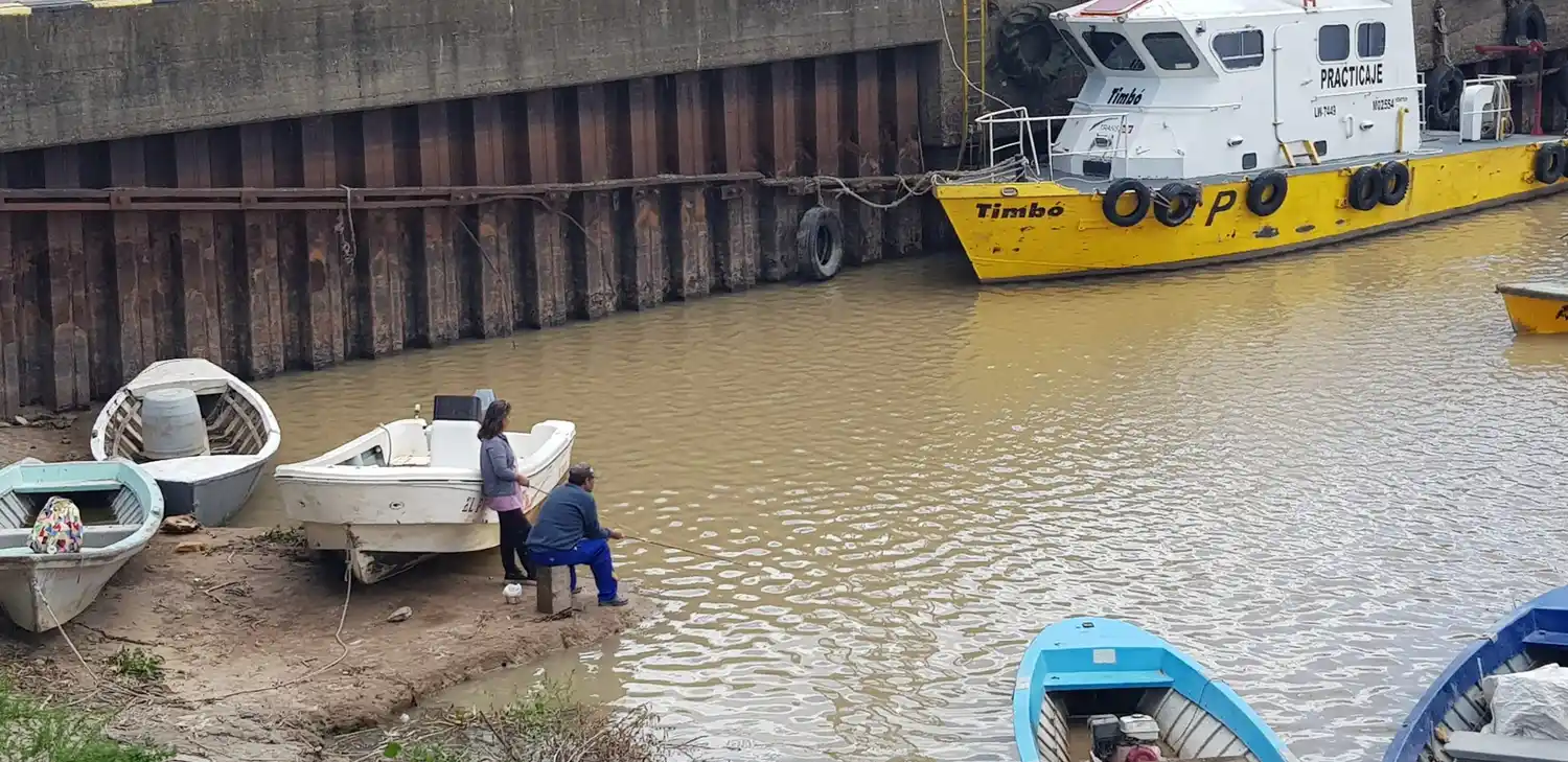 Surubíes en el puerto: “Hay que tener más conciencia a la hora de depredar”