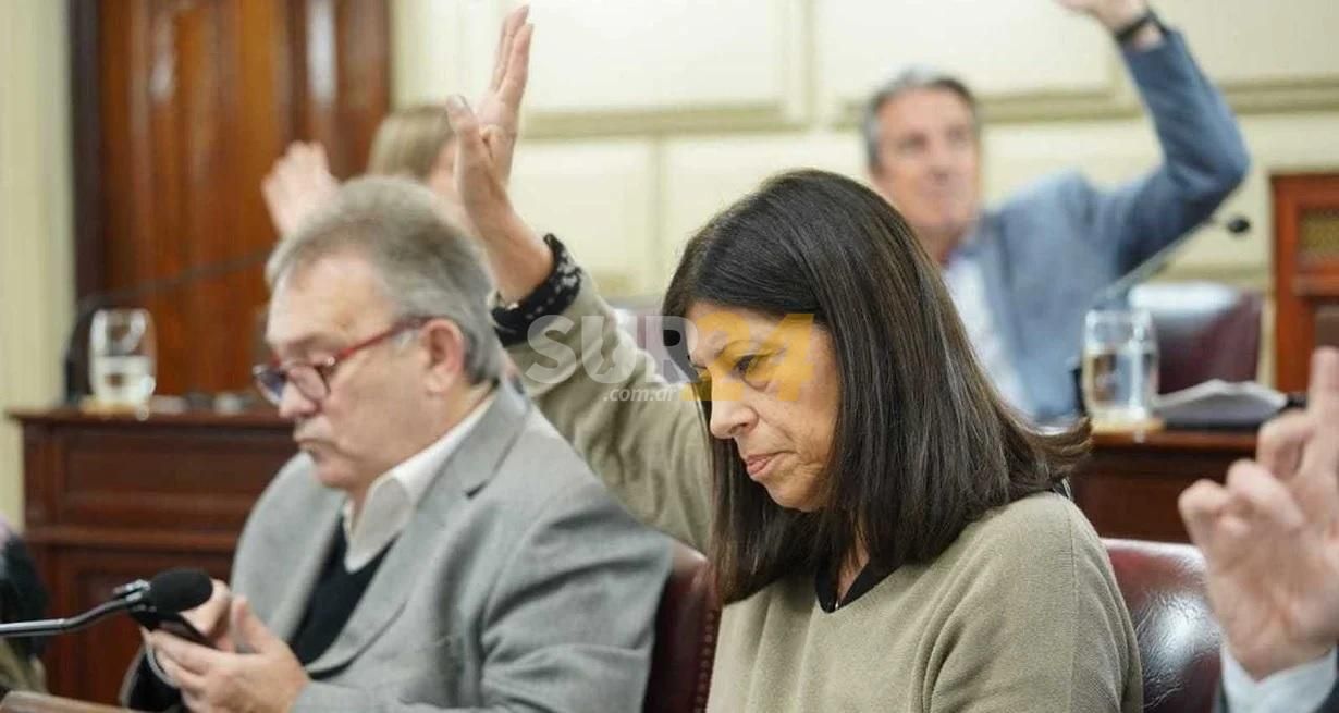 Diputados santafesinos insistieron con quince proyectos de ley: cuáles son