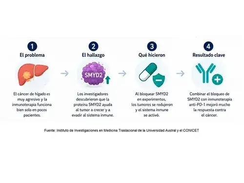 Investigadores del Austral presentan avances en tratamientos contra el cáncer de hígado