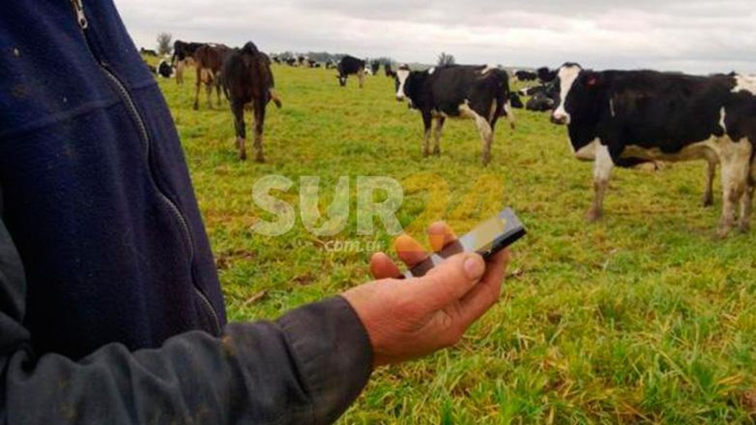 Venado Tuerto avanza hacia una conectividad del ciento por ciento en el ámbito rural