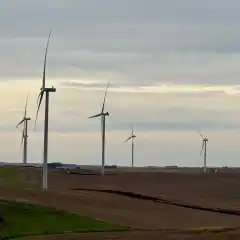 La Elbita: 10 curiosidades del nuevo Parque Eólico de Tandil